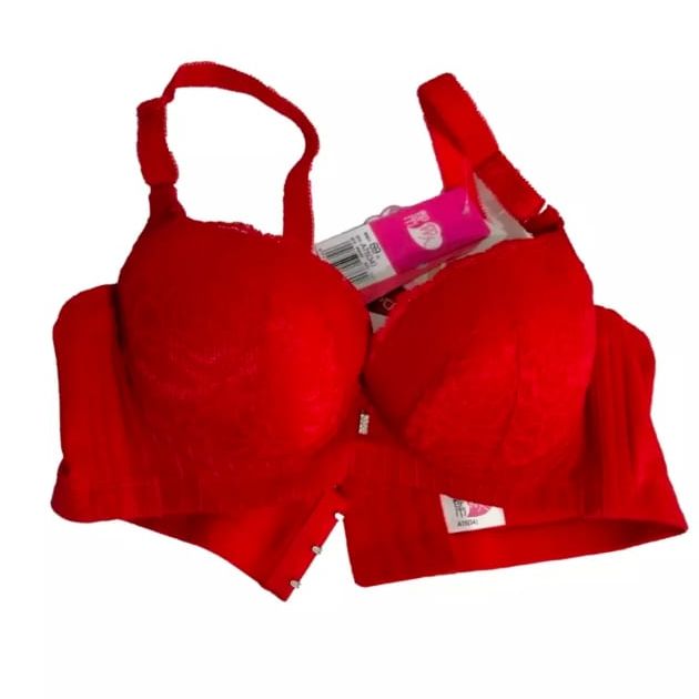 Bra Panty New Design Ladies Net Bra Sets Underwear and Bra Set